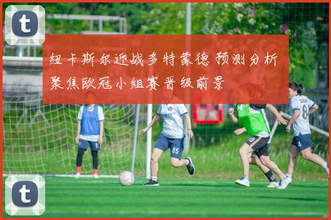 纽卡斯尔迎战多特蒙德 预测分析 聚焦欧冠小组赛晋级前景