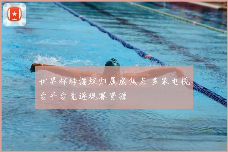 世界杯转播权归属成焦点 多家电视台平台竞逐观赛资源
