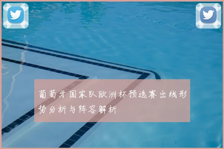 葡萄牙国家队欧洲杯预选赛出线形势分析与阵容解析