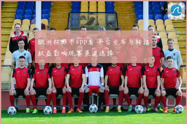 欧洲杯哪个app看 平台分布与转播权益影响观赛渠道选择