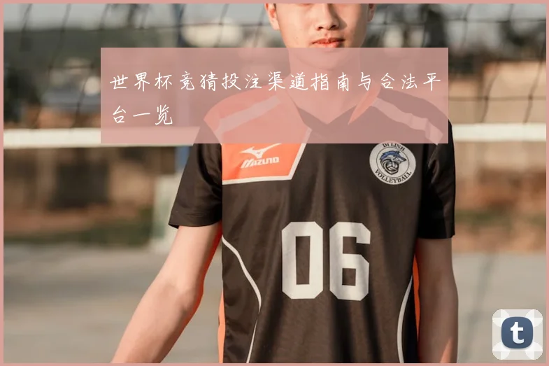 世界杯竞猜投注渠道指南与合法平台一览