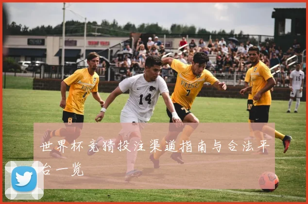世界杯竞猜投注渠道指南与合法平台一览
