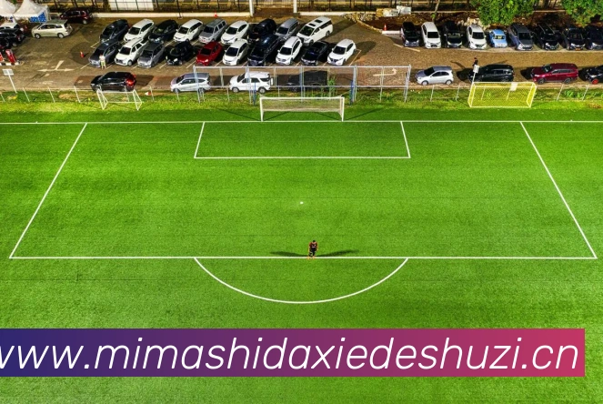 多媒体互动体验